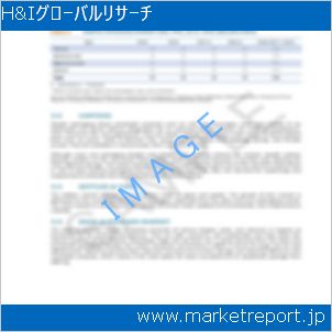市場と産業調査レポートのイメージ